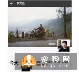 搞不清狗狗的生理阶段？看这篇文章就够了！