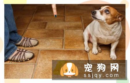 “分离焦虑症”可能出现的症状