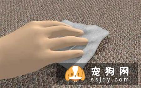 狗狗尿尿调教妙招!