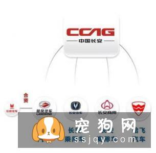 搞不清狗狗的生理阶段？看这篇文章就够了！