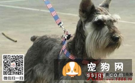 正规狗粮厂商都会在包装上列出真实明确的原料表和分析保证值表,两表结合就能判定
