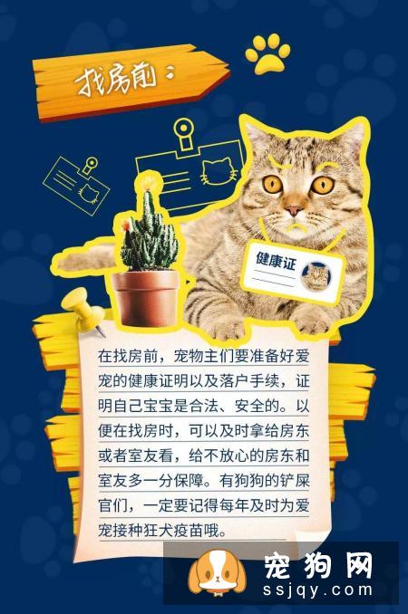当代人租房养宠指南