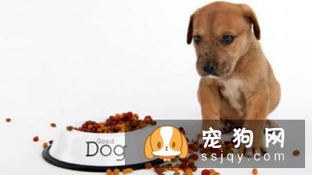 狗狗超重不一定是肥胖，还有7种原因！