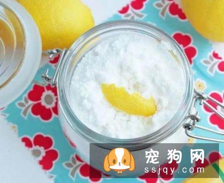 有了宠物，怎么做室内清洁？