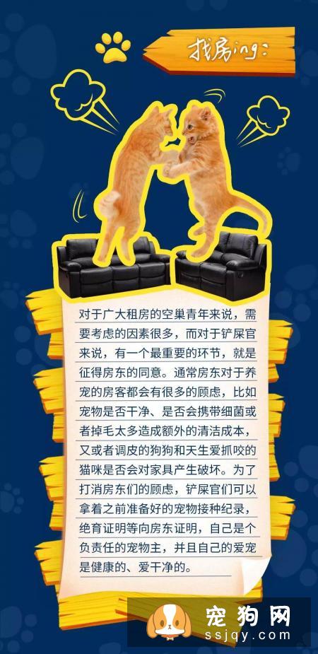 当代人租房养宠指南