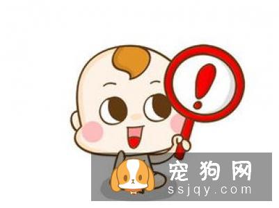 养狗的这些误区，了解它不踩雷！