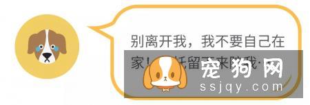 “分离焦虑症”可能出现的症状