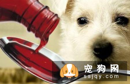 除了病犬和术后的狗狗,还有哪类狗狗可以吃呢?