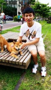 柴犬不喜欢摸头  柴犬不喜欢摸头原来是这样