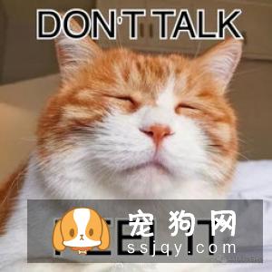 系列图让你了解弓形虫，猫狗不再做背锅侠