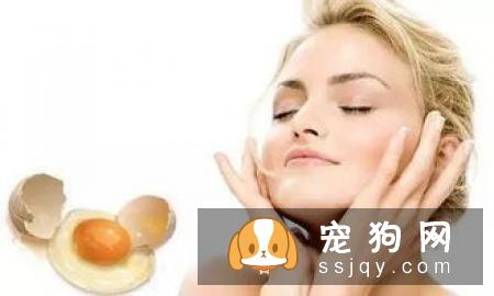 宠物过敏怎么办?-家居装修问答