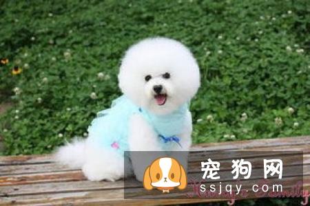 双排牙的危害-家居装修问答