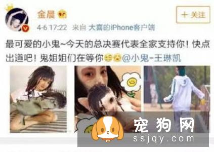 柴犬性情温顺、对待主人忠实,服从性高、忍耐性强,又很灵巧机敏