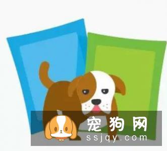 无法清理掉窝垫上的狗猫毛？听听国外铲屎官的建议吧