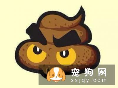柴犬大便不成形 这三招可以解决问题