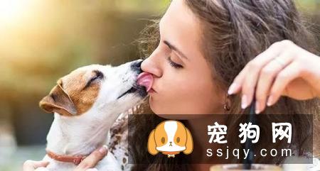 狗狗为什么喜欢到处舔?原来狗狗舔舐也有不同的意思哦！