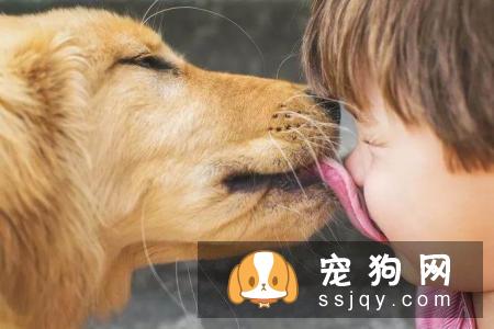 狗狗为什么经常舔自己的鼻子?