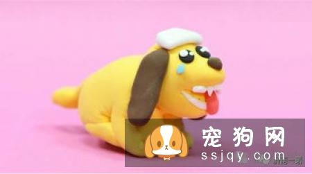 狗狗生病引起呼吸急促和喘气快