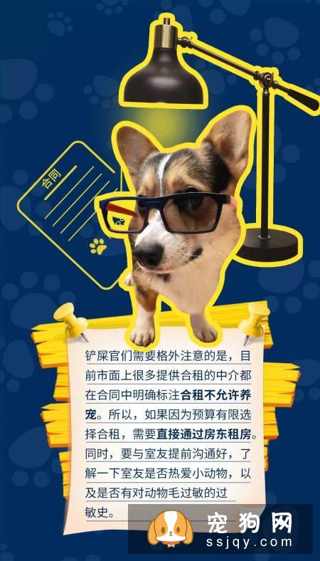 当代人租房养宠指南