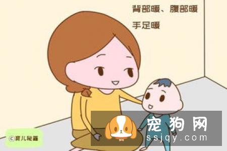 柴犬不立耳 柴犬不立耳的两大原因你知道吗