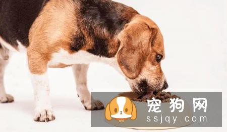 为什么选择处方粮?帮助药物发挥作用