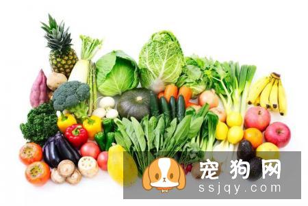 如何让狗狗拥有亮丽毛发的小秘诀