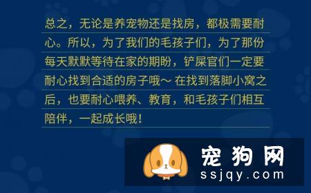 当代人租房养宠指南