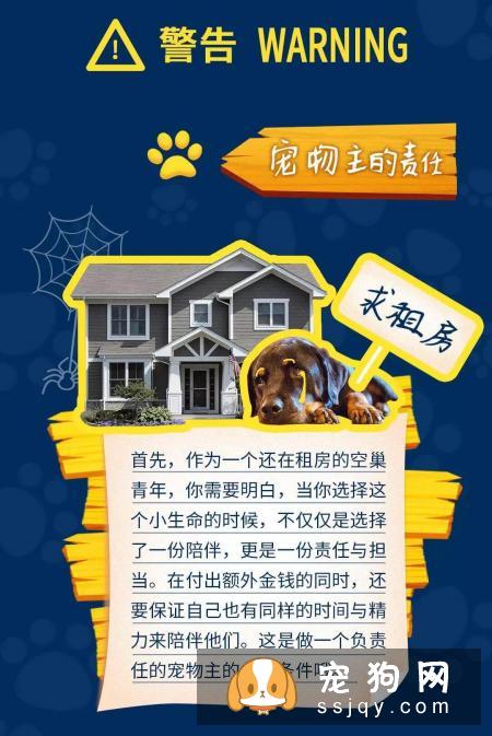 当代人租房养宠指南