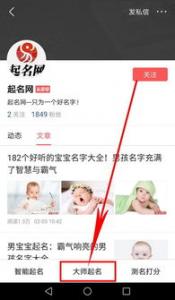 夏季是狗狗最佳减肥时间，狗狗减肥方法与注意事项