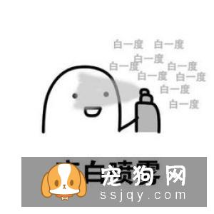 养宠物狗的6大误区，你躺枪了吗！