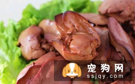 如何让狗狗拥有亮丽毛发的小秘诀
