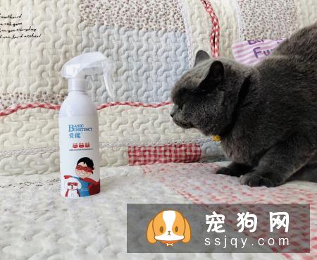 宠物为什么会有臭味，用爱能宠物除臭剂有用吗？