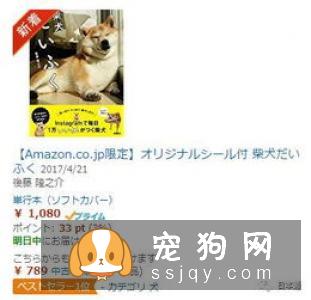 柴犬幼犬乱咬东西可能是由两个原因引起的