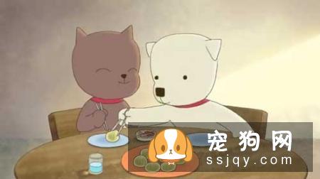 外企加班狗怎么养好娃？上班族养狗必备知识