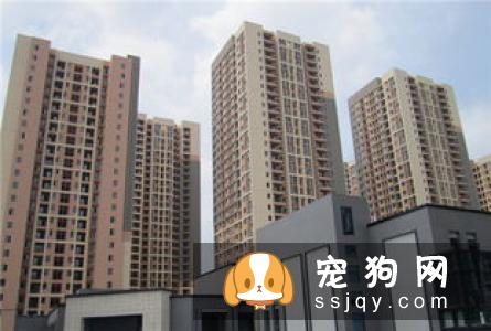 当代人租房养宠指南
