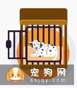 无法清理掉窝垫上的狗猫毛？听听国外铲屎官的建议吧