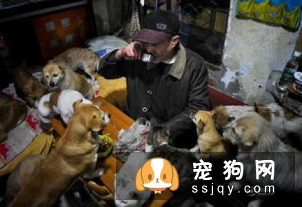 狗狗死之前有什么症状？细心观察争取尽早治疗