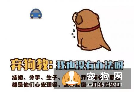 远离！养狗圈的“十大邪教”，科学养犬才是王道！