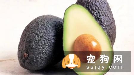 狗狗哪些水果能吃和不能吃？狗狗应该怎么吃水果？