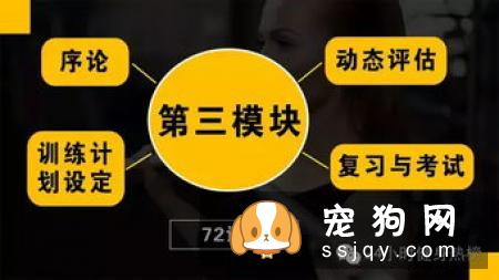 工作训练犬有哪些特殊的营养需求？