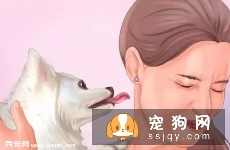 狗狗上火有什么症状，应该怎么预防