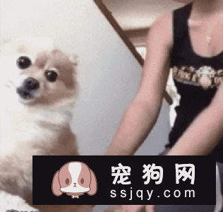 “分离焦虑症”可能出现的症状