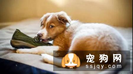 为了让自己更轻松,这几件事,一定要注意!