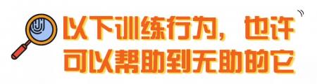 “分离焦虑症”可能出现的症状