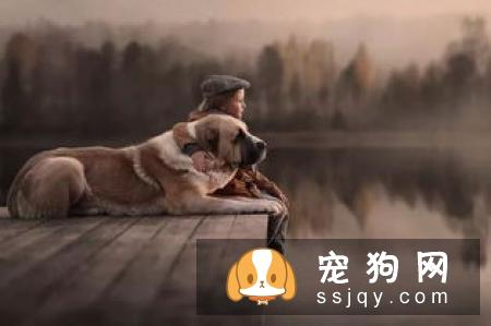 雨天外出回来,狗狗全身都吹乾,千万不能太过大意,原因竟然是。