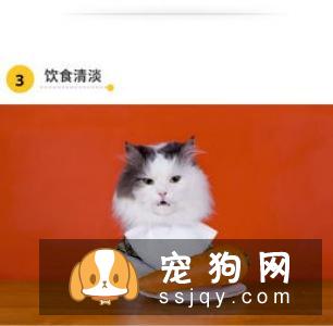 正规狗粮厂商都会在包装上列出真实明确的原料表和分析保证值表,两表结合就能判定