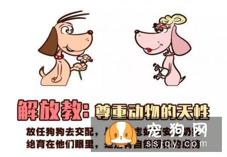 远离！养狗圈的“十大邪教”，科学养犬才是王道！
