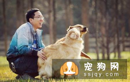 学会以下招数，让狗狗训练有素!