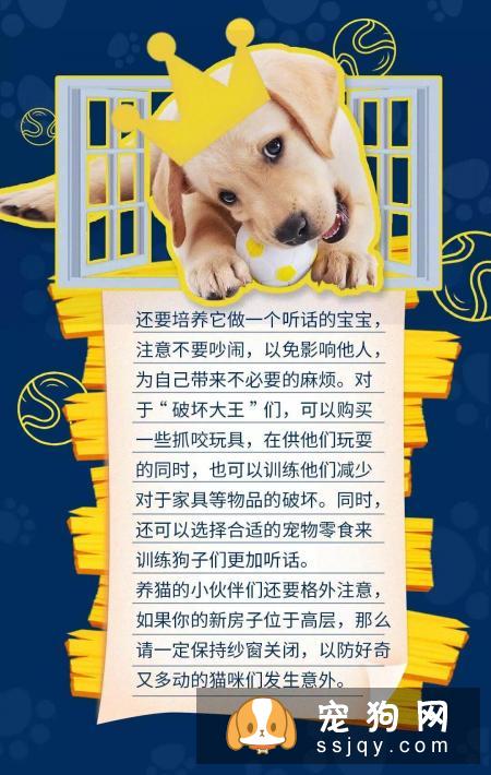 当代人租房养宠指南