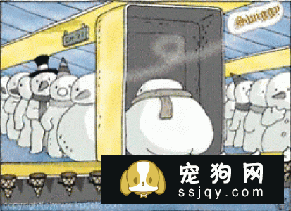 柴犬吃屎怎么办 柴犬吃屎这招可以搞定